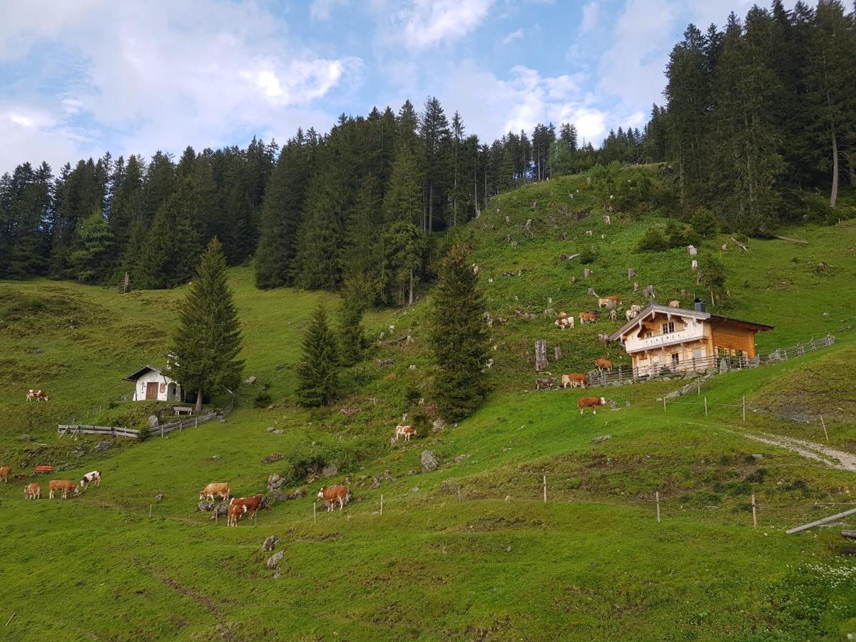 Villa Almhütte Andrea Wildschoenau Exterior foto